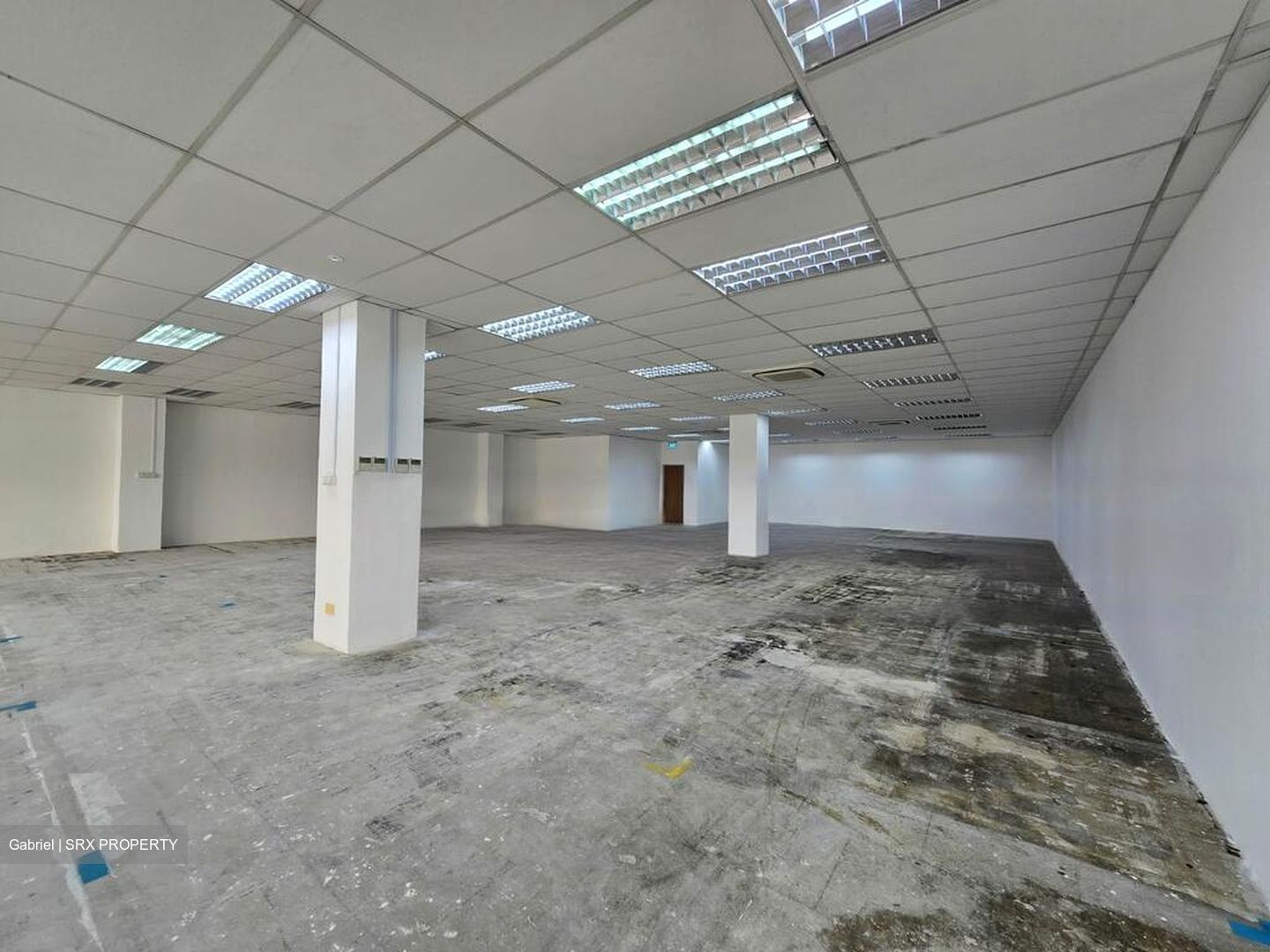 The Actuary (D12), Factory #452165231
